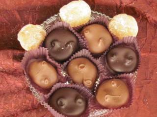 Chocolate Covered Ginger